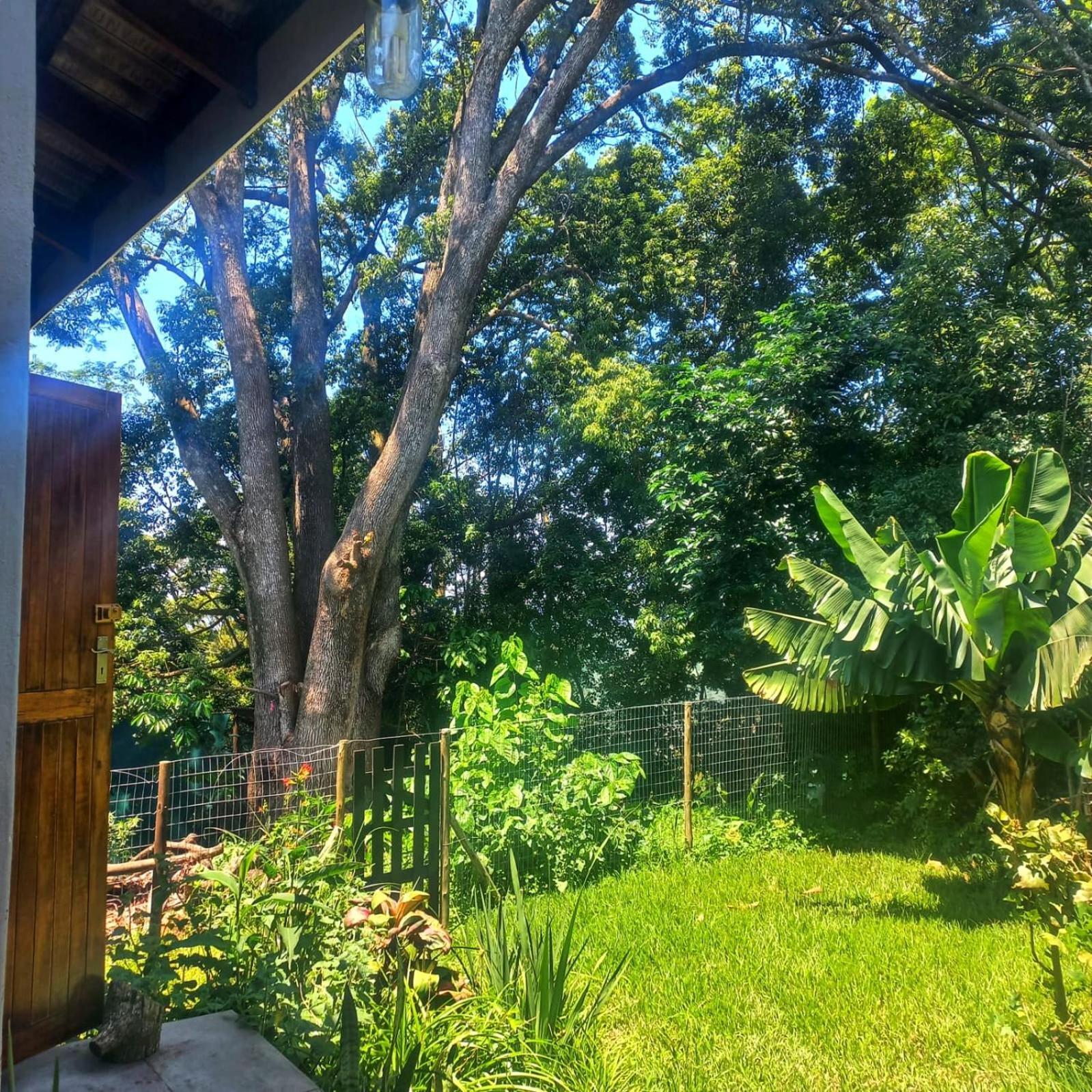 Highview Lodge Gillitts 外观 照片