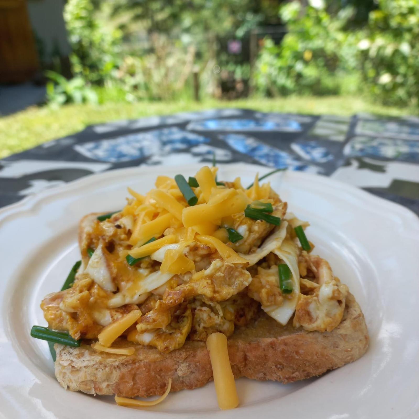 Highview Lodge Gillitts 外观 照片