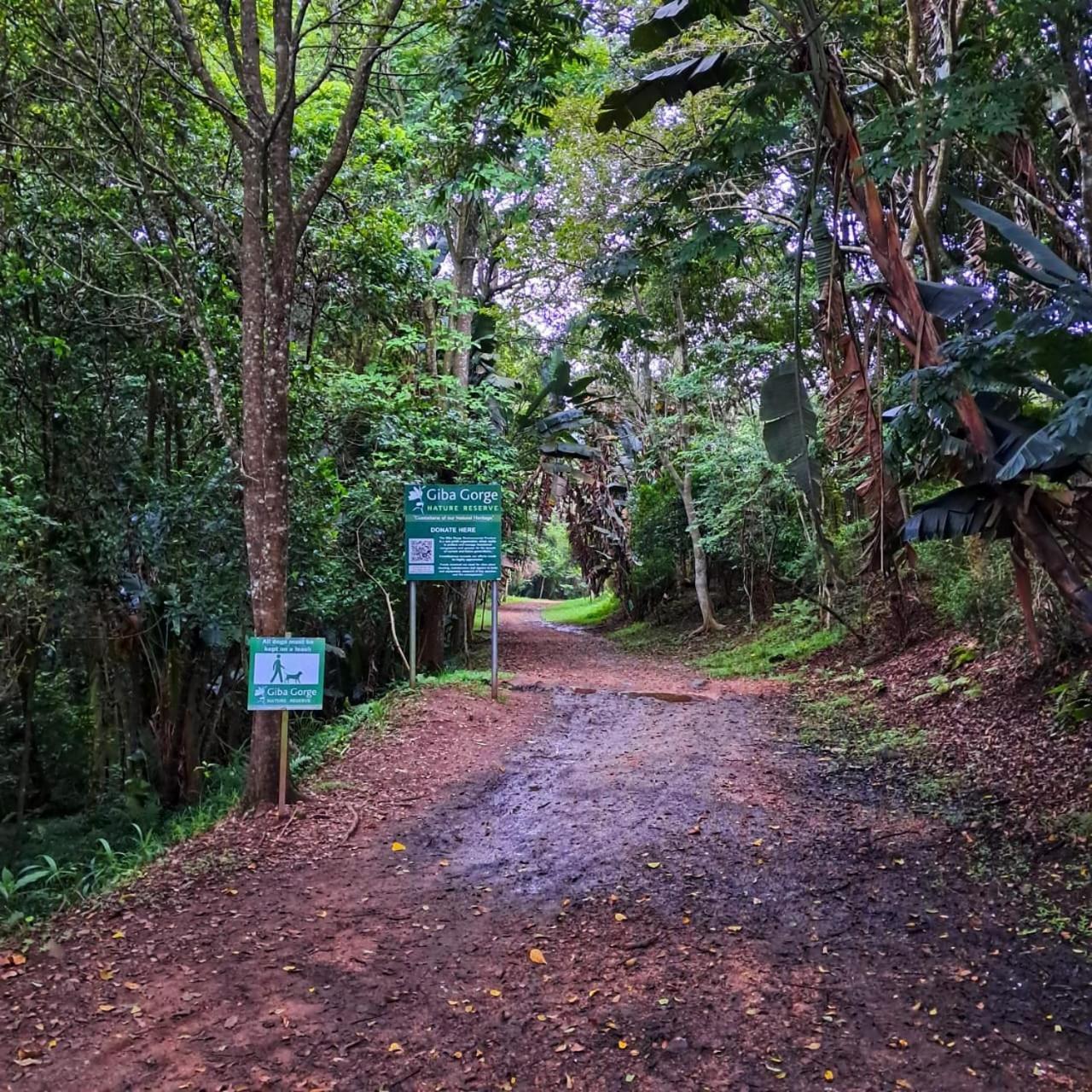 Highview Lodge Gillitts 外观 照片