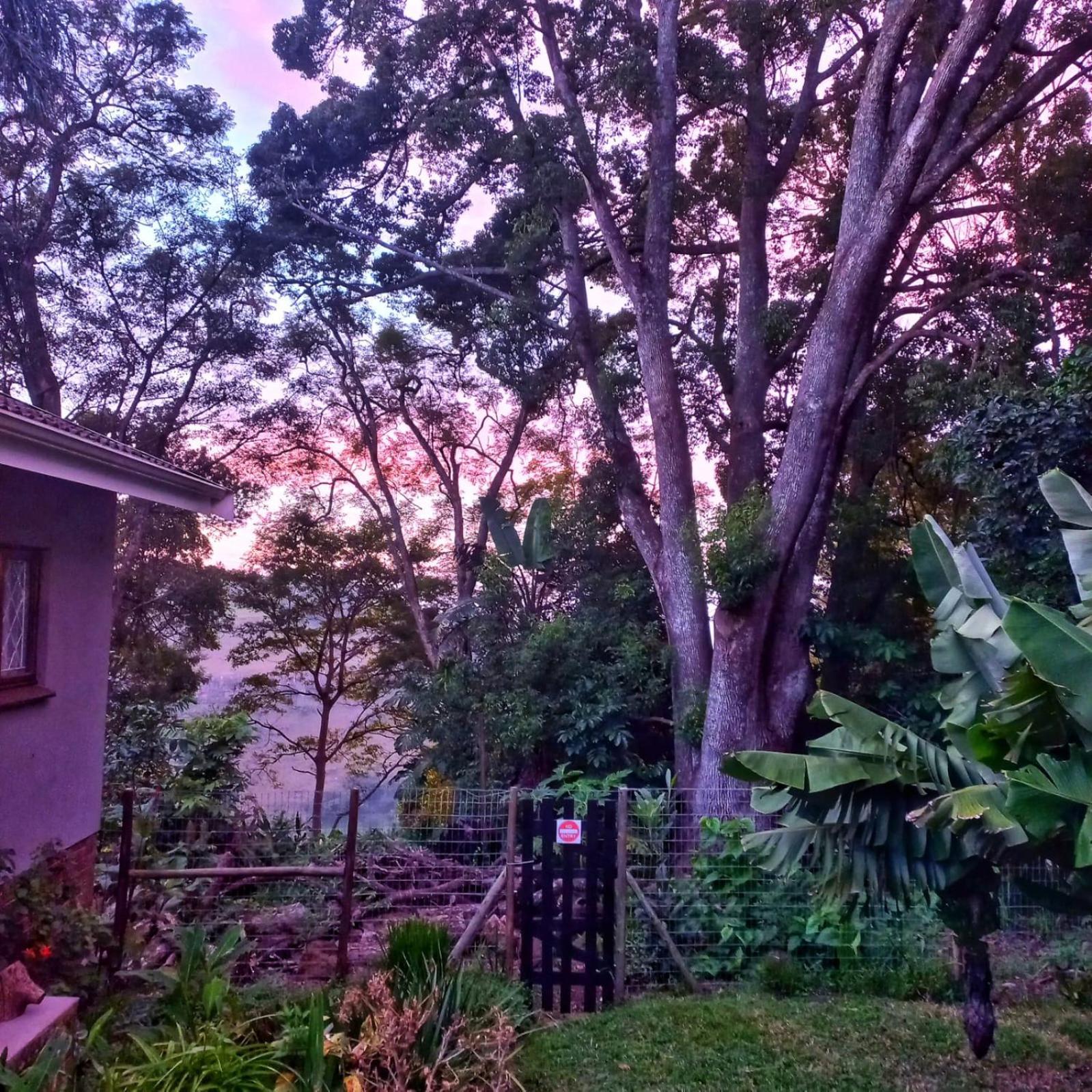 Highview Lodge Gillitts 外观 照片